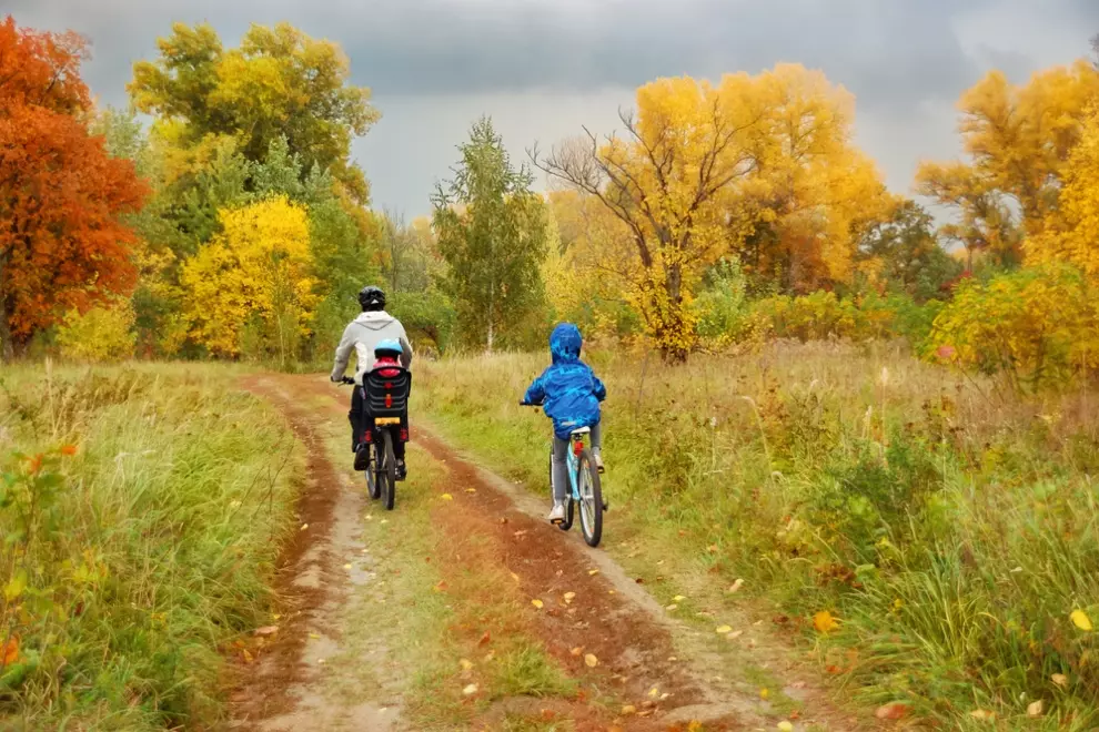 Two people cycling together on a scenic park path in autumn